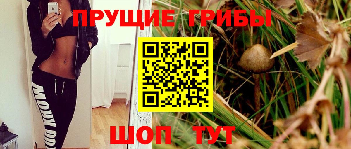 Галлюциногенные грибы Psilocybe Туймазы