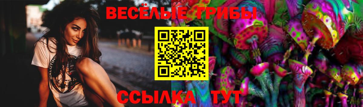 Псилоцибиновые грибы MAGIC MUSHROOMS  Вход с VPN  Туймазы 